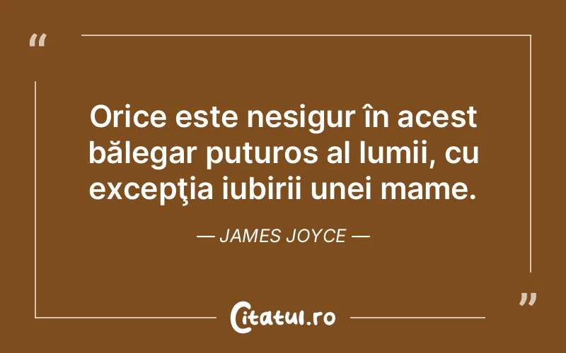 Orice este nesigur în acest bălegar puturos al lumii, cu excepţia iubirii unei mame. James Joyce