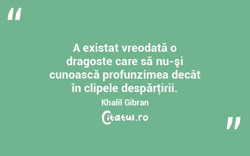 A existat vreodată o dragoste care să nu-şi cunoască profunzimea decât în clipele despărţirii. Khalil Gibran

