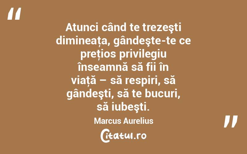 Atunci când te trezeşti dimineaţa, gândeşte-te ce preţios privilegiu înseamnă să fii în viaţă – să respiri, să gândeşti, să te bucuri, să iubeşti. Marcus Aurelius
