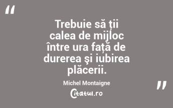 Trebuie să ţii calea de mijloc între ura faţă de durerea şi iubirea plăcerii. Michel Montaigne...