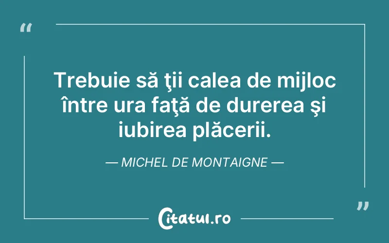 Trebuie să ţii calea de mijloc între ura faţă de durerea şi iubirea plăcerii. Michel de Montaigne