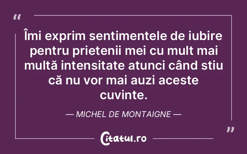 Îmi exprim sentimentele de iubire pentru prietenii mei cu mult mai multă intensitate atunci când știu că nu vor mai auzi aceste cuvinte. Michel de Montaigne