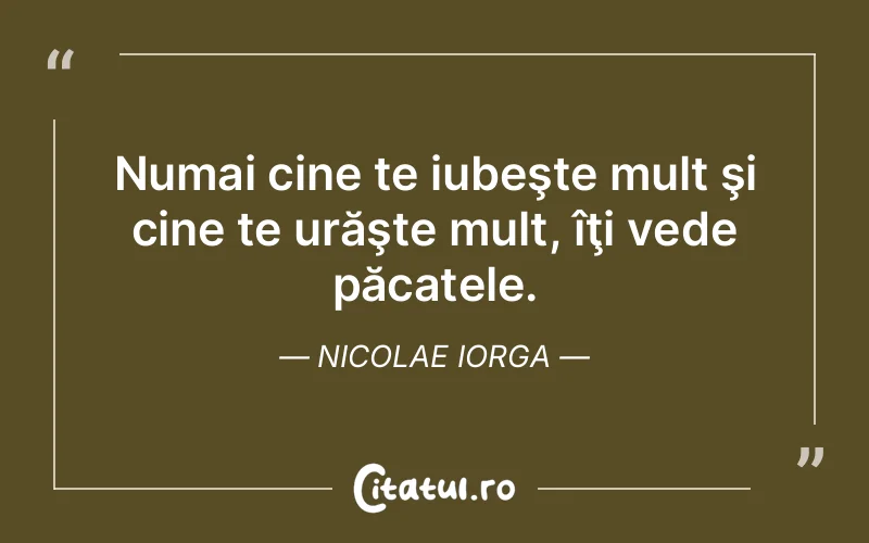 Numai cine te iubeşte mult şi cine te urăşte mult, îţi vede păcatele. Nicolae Iorga