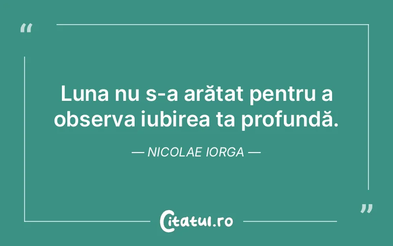 Luna nu s-a arătat pentru a observa iubirea ta profundă. Nicolae Iorga