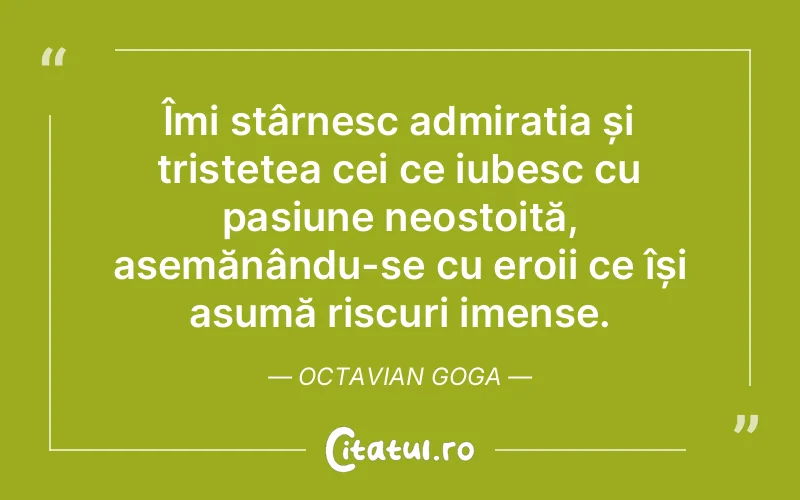 Îmi stârnesc admirația și tristețea cei ce iubesc cu pasiune neostoită, asemănându-se cu eroii ce își asumă riscuri imense. Octavian Goga
