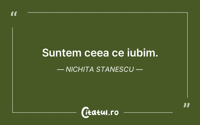 Suntem ceea ce iubim. Nichita Stanescu