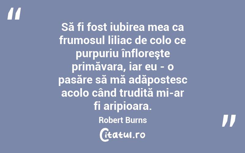  Să fi fost iubirea mea ca frumosul liliac de colo ce purpuriu înfloreşte primăvara, iar eu - o pasăre să mă adăpostesc acolo când trudită mi-ar fi aripioara. Robert Burns
