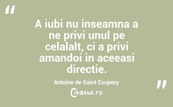 A iubi nu inseamna a ne privi unul pe celalalt, ci a privi amandoi in aceeasi directie. Antoine de Saint Exupery...