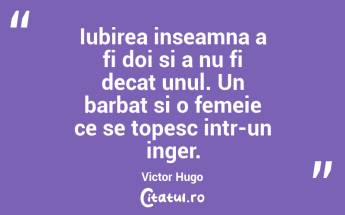Iubirea inseamna a fi doi si a nu fi decat unul. Un barbat si o femeie ce se topesc intr-un inger. Victor Hugo...