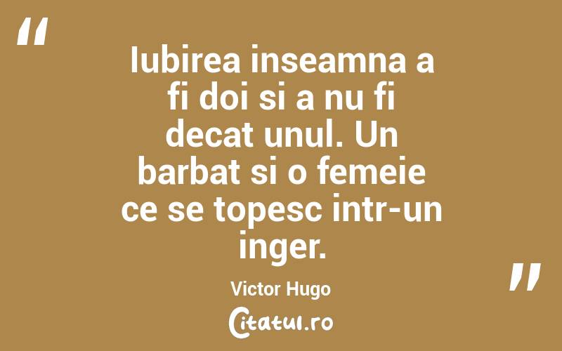 Iubirea inseamna a fi doi si a nu fi decat unul. Un barbat si o femeie ce se topesc intr-un inger. Victor Hugo
