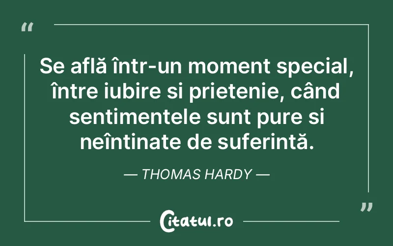 Se află într-un moment special, între iubire și prietenie, când sentimentele sunt pure și neîntinate de suferință. Thomas Hardy