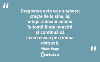Dragostea este ca un arbore: creşte de la sine, îşi înfige rădăcini adânci în toată fiinţa noastră şi continuă să înverzească pe o inimă distrusă. Victor Hugo...