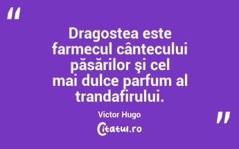 Dragostea este farmecul cântecului păsărilor şi cel mai dulce parfum al trandafirului. Victor Hugo...