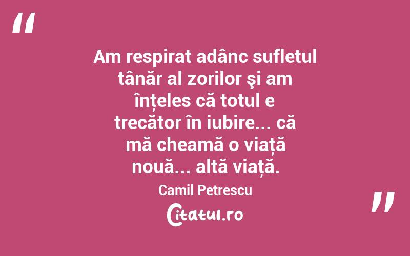 Am respirat adânc sufletul tânăr al zorilor şi am înţeles că totul e trecător în iubire... că mă cheamă o viaţă nouă... altă viaţă. Camil Petrescu
