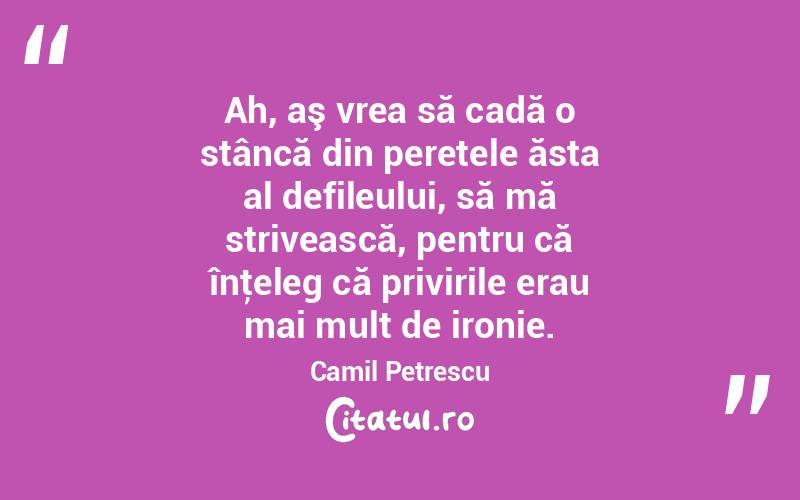  Ah, aş vrea să cadă o stâncă din peretele ăsta al defileului, să mă strivească, pentru că înţeleg că privirile erau mai mult de ironie. Camil Petrescu
