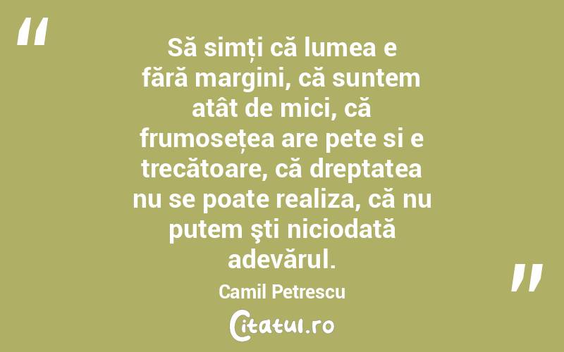 Să simţi că lumea e fără margini, că suntem atât de mici, că frumoseţea are pete si e trecătoare, că dreptatea nu se poate realiza, că nu putem şti niciodată adevărul. Camil Petrescu

