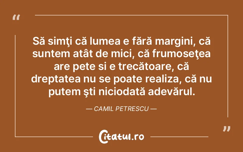 Să simţi că lumea e fără margini, că suntem atât de mici, că frumoseţea are pete si e trecătoare, că dreptatea nu se poate realiza, că nu putem şti niciodată adevărul. Camil Petrescu