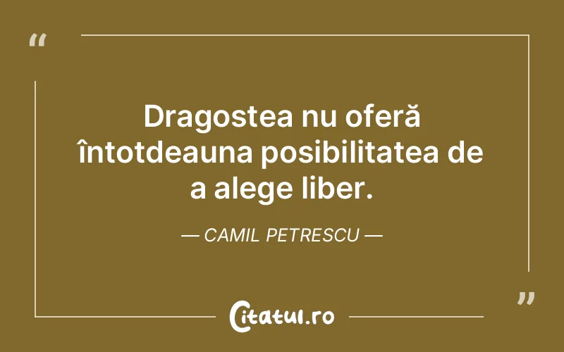 Dragostea nu oferă întotdeauna posibilitatea de a alege liber. Camil Petrescu