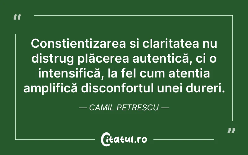 Conștientizarea și claritatea nu distrug plăcerea autentică, ci o intensifică, la fel cum atenția amplifică disconfortul unei dureri. Camil Petrescu