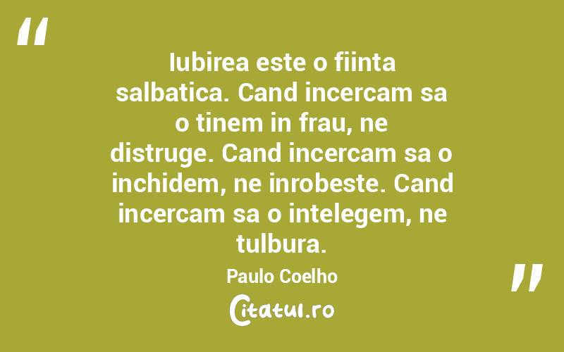 Iubirea este o fiinta salbatica. Cand incercam sa o tinem in frau, ne distruge. Cand incercam sa o inchidem, ne inrobeste. Cand incercam sa o intelegem, ne tulbura. Paulo Coelho
