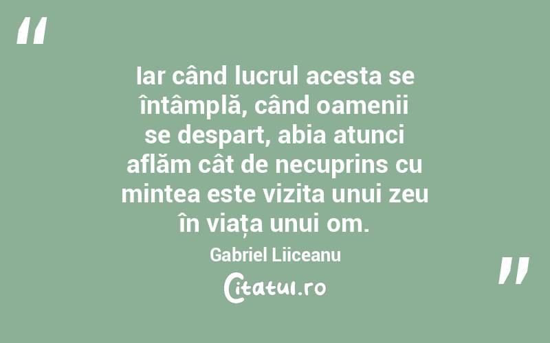 Iar când lucrul acesta se întâmplă, când oamenii se despart, abia atunci aflăm cât de necuprins cu mintea este vizita unui zeu în viaţa unui om. Gabriel Liiceanu
