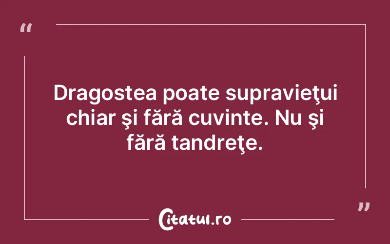 Dragostea poate supravieţui chiar şi fără cuvinte. Nu şi fără tandreţe.