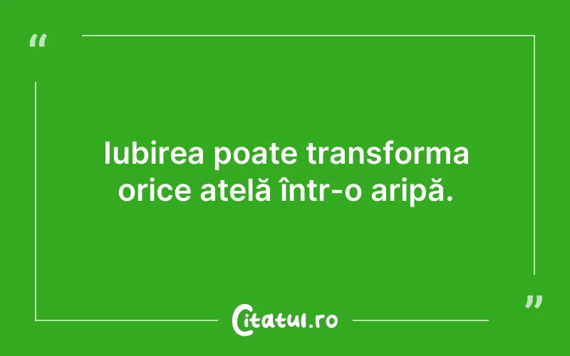 Iubirea poate transforma orice atelă într-o aripă.