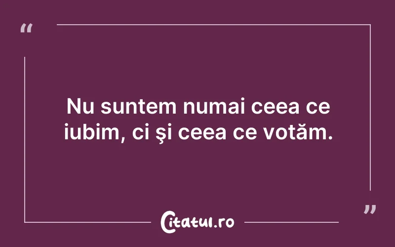 Nu suntem numai ceea ce iubim, ci şi ceea ce votăm.