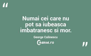 Numai cei care nu pot sa iubeasca imbatranesc si mor. George Calinescu...