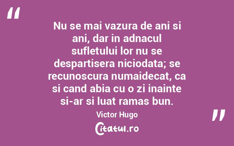 Nu se mai vazura de ani si ani, dar in adnacul sufletului lor nu se despartisera niciodata; se recunoscura numaidecat, ca si cand abia cu o zi inainte si-ar si luat ramas bun. Victor Hugo
