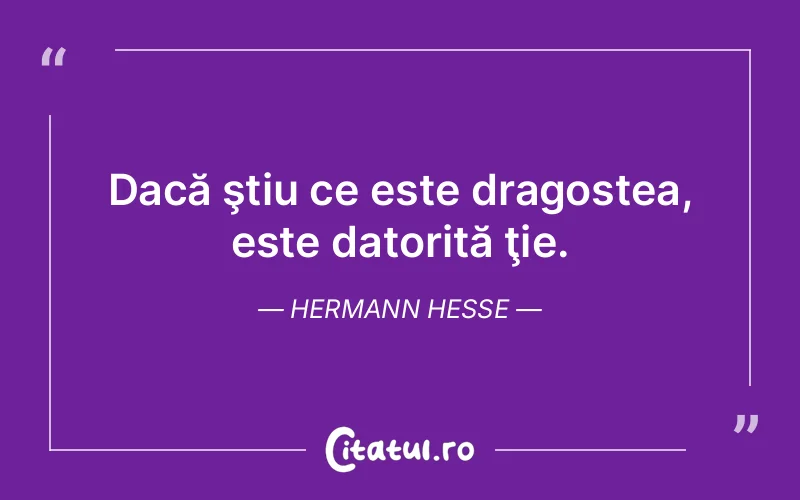 Dacă ştiu ce este dragostea, este datorită ţie. Hermann Hesse