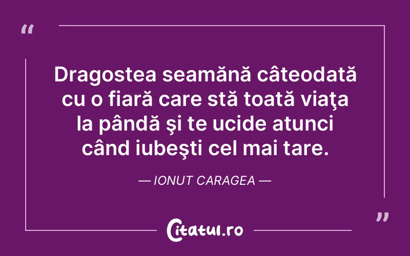 Dragostea seamănă câteodată cu o fiară care stă toată viaţa la pândă şi te ucide atunci când iubeşti cel mai tare. Ionut Caragea