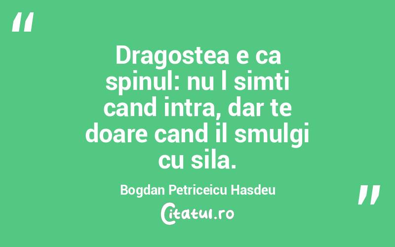 Dragostea e ca spinul: nu l simti cand intra, dar te doare cand il smulgi cu sila. Bogdan Petriceicu Hasdeu
