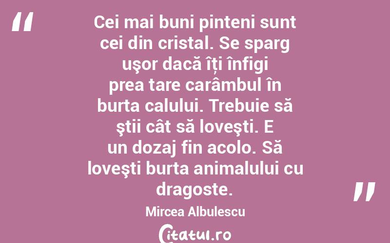 Cei mai buni pinteni sunt cei din cristal. Se sparg uşor dacă îţi înfigi prea tare carâmbul în burta calului. Trebuie să ştii cât să loveşti. E un dozaj fin acolo. Să loveşti burta animalului cu dragoste. Mircea Albulescu
