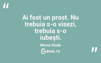   Ai fost un prost. Nu trebuia s-o visezi, trebuia s-o iubeşti. Mircea Eliade...