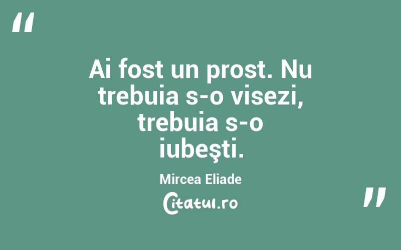   Ai fost un prost. Nu trebuia s-o visezi, trebuia s-o iubeşti. Mircea Eliade
