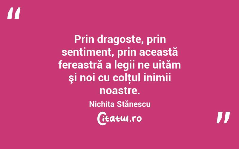  Prin dragoste, prin sentiment, prin această fereastră a legii ne uităm şi noi cu colţul inimii noastre. Nichita Stănescu
