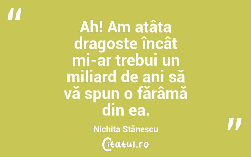   Ah! Am atâta dragoste încât mi-ar trebui un miliard de ani să vă spun o fărâmă din ea. Nichita Stănescu
