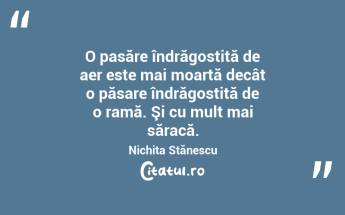  O pasăre îndrăgostită de aer este mai moartă decât o păsare îndrăgostită de o ramă. Şi cu mult mai săracă. Nichita Stănescu...