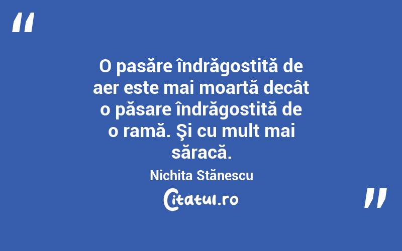  O pasăre îndrăgostită de aer este mai moartă decât o păsare îndrăgostită de o ramă. Şi cu mult mai săracă. Nichita Stănescu
