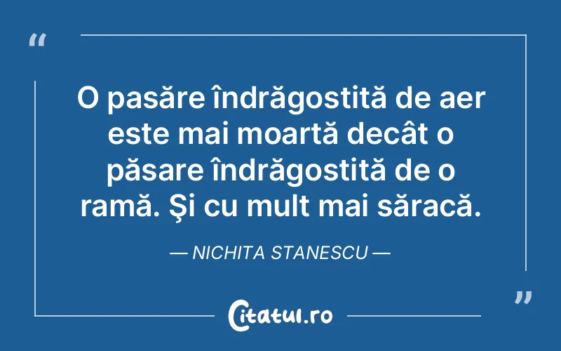 O pasăre îndrăgostită de aer este mai moartă decât o păsare îndrăgostită de o ramă. Şi cu mult mai săracă. Nichita Stanescu