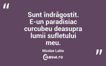 Sunt îndrăgostit. E-un paradisiac curcubeu deasupra lumii sufletului meu. Nicolae Labis...