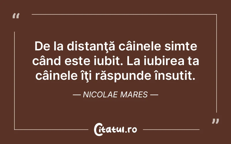 De la distanţă câinele simte când este iubit. La iubirea ta câinele îţi răspunde însutit. Nicolae Mares