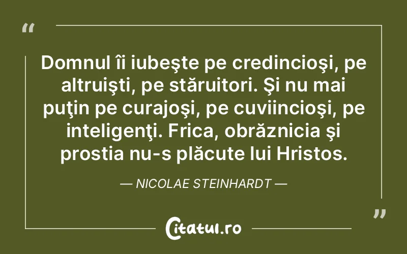 Domnul îi iubeşte pe credincioşi, pe altruişti, pe stăruitori. Şi nu mai puţin pe curajoşi, pe cuviincioşi, pe inteligenţi. Frica, obrăznicia şi prostia nu-s plăcute lui Hristos. Nicolae Steinhardt