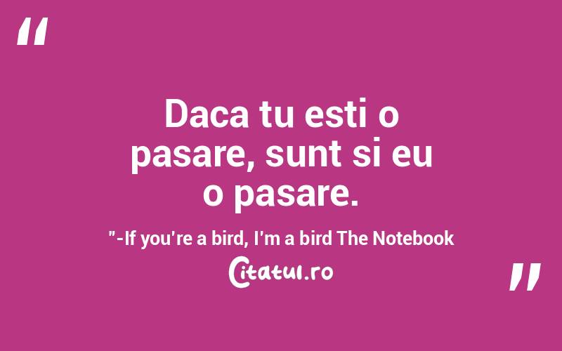 Daca tu esti o pasare, sunt si eu o pasare.”-If you’re a bird, I’m a bird The Notebook
