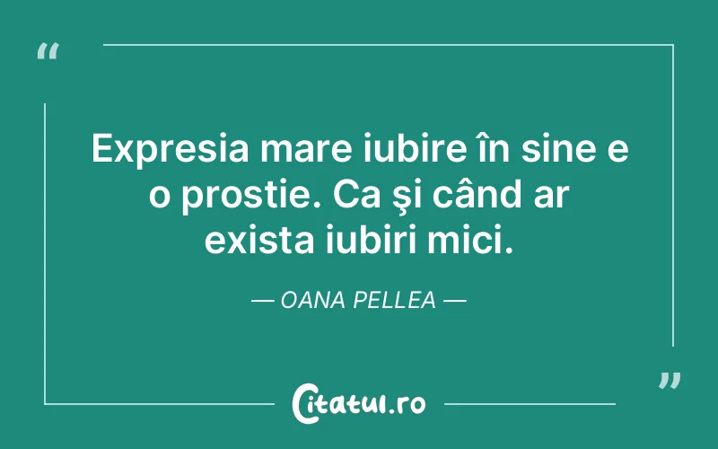 Expresia mare iubire în sine e o prostie. Ca şi când ar exista iubiri mici. Oana Pellea