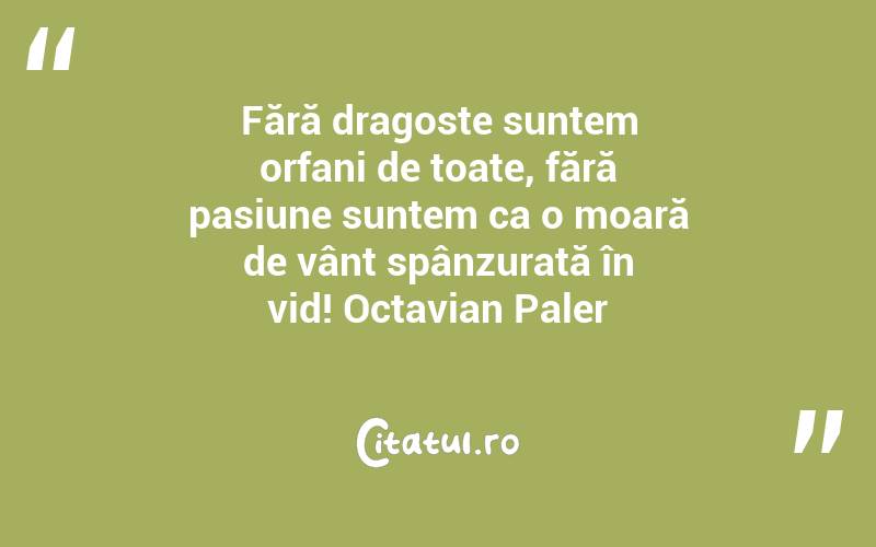 Fără dragoste suntem orfani de toate, fără pasiune suntem ca o moară de vânt spânzurată în vid! Octavian Paler
