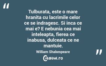 Tulburata, este o mare hranita cu lacrimile celor ce se indragesc. Si inca ce mai e? E nebunia cea mai inteleapta, fierea ce inabusa, dulceata ce ne mantuie. William Shakespeare...