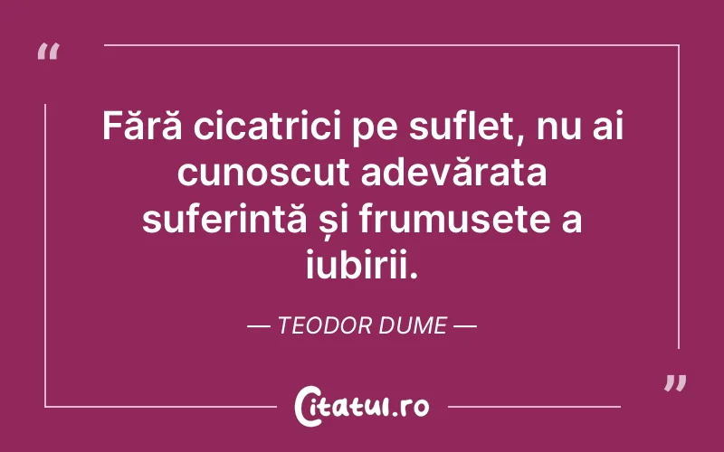 Fără cicatrici pe suflet, nu ai cunoscut adevărata suferință și frumusețe a iubirii. Teodor Dume