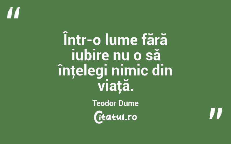 Într-o lume fără iubire nu o să înţelegi nimic din viaţă. Teodor Dume
